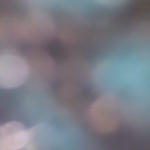 Meet your Posher, Kelandon